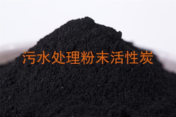 廣東某藥廠污水深度處理用煤質(zhì)粉末活性炭項(xiàng)目